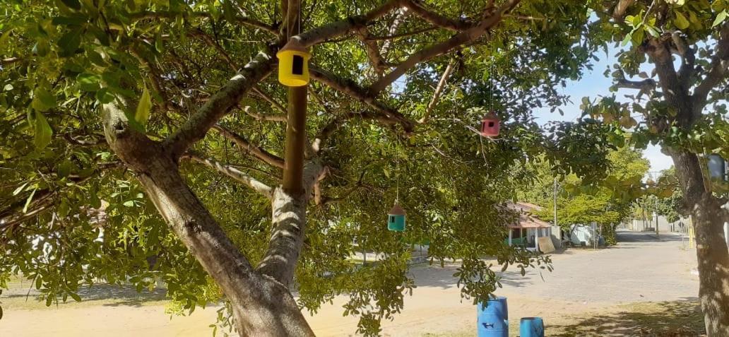 Pousada Das Sereias Caravelas Kültér fotó