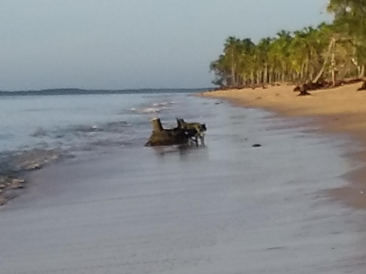 Pousada Das Sereias Caravelas Kültér fotó